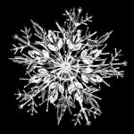 free-photo-snowflake-01