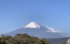 IMG_0319
