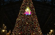 IMG_3224 (1)