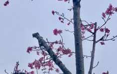 IMG_3187