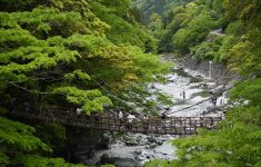 かずら橋