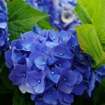 diana-bondarenko-UXQg1UWvj0M-unsplash