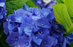 diana-bondarenko-UXQg1UWvj0M-unsplash