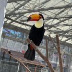 processed-367BEE96-A5E4-425F-A5DF-77AC5377A0C8