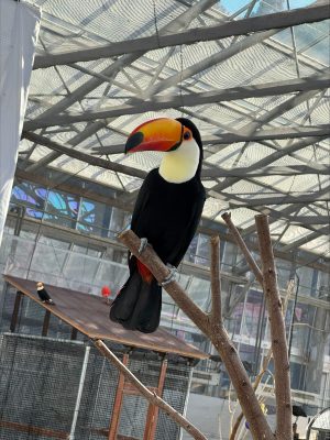 processed-367BEE96-A5E4-425F-A5DF-77AC5377A0C8